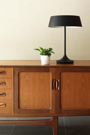 China  Lamp - Molecule Design-Online 