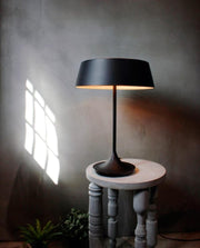 China  Lamp - Molecule Design-Online 