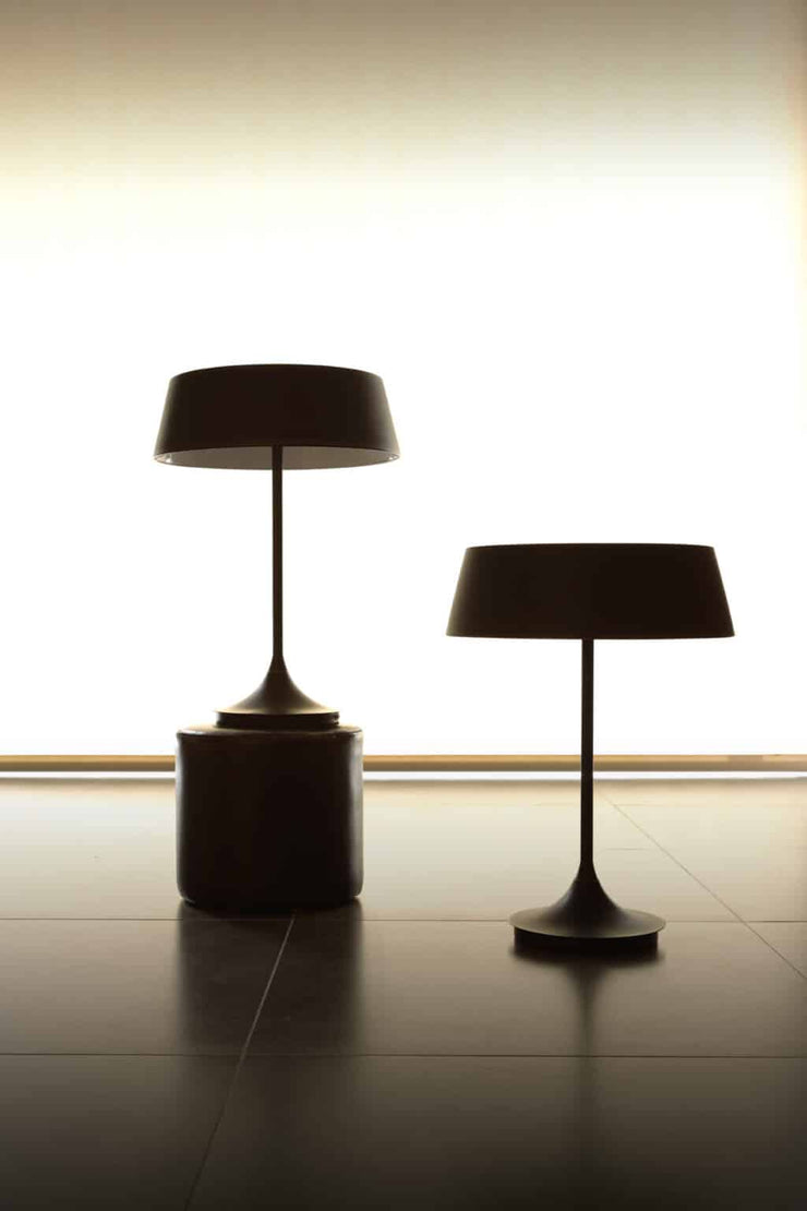 China  Lamp - Molecule Design-Online 