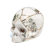 Kintsugi - Skull - Molecule Design-Online 