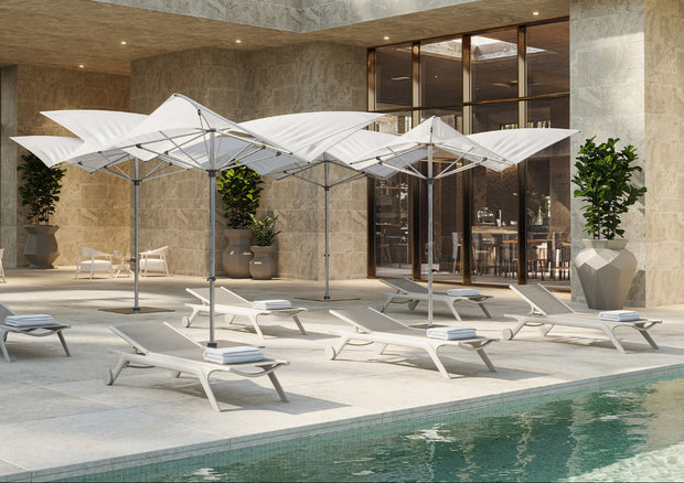 Africa Sun Lounger - Set of Four