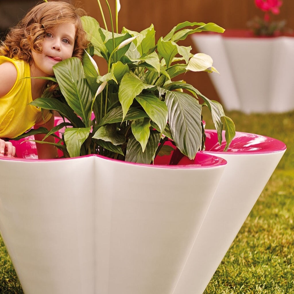 designer plant pots online Agatha Planter