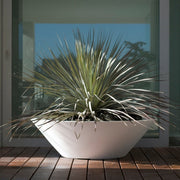 Centro Planter - Molecule Design-Online 