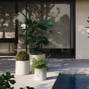 Cylinder Planter 100