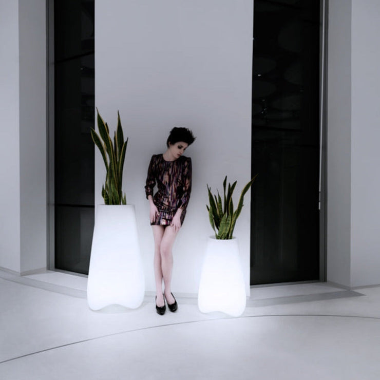 Pal - High Planter - Molecule Design-Online 
