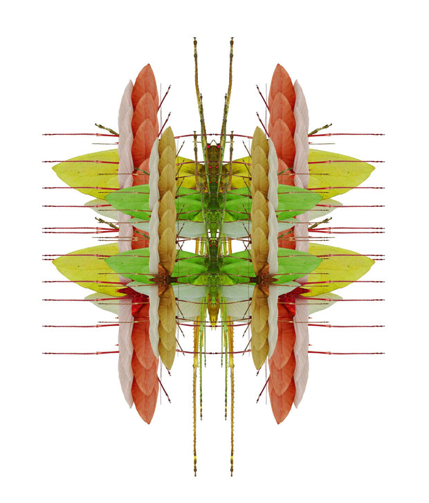 Insectary Design Great Gifts | Molecule Design-Online