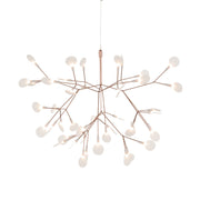 Heracleum Ill Suspended - Small - Molecule Design-Online 