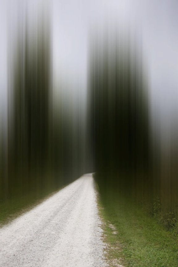 Leading Home - Disturbing The Spirits series - Molecule Design-Online 