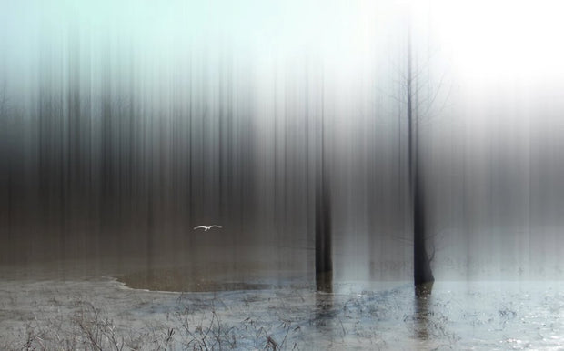 Remaining A Mystery - Disturbing The Spirits series - Molecule Design-Online 