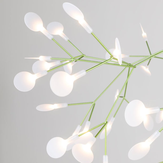 Heracleum Ill Suspended - Large - Molecule Design-Online 