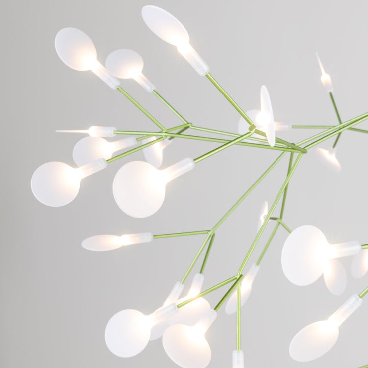 Heracleum Ill Suspended - Small - Molecule Design-Online 