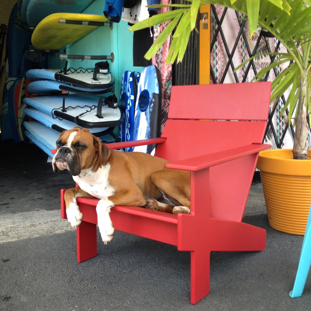 Lollygagger Lounge Chair | Molecule Design-Online