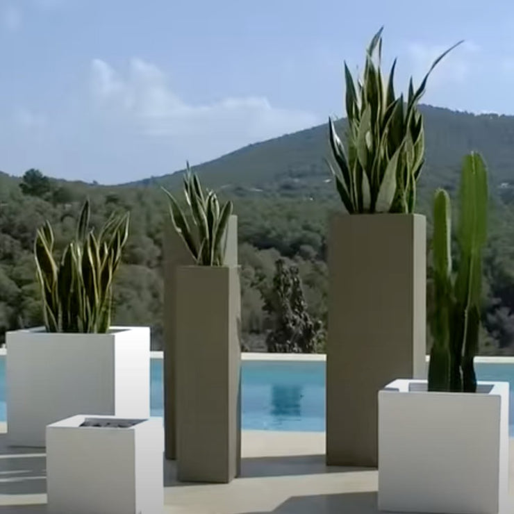 High Cube Planter 50x50x100 cm - Molecule Design-Online 