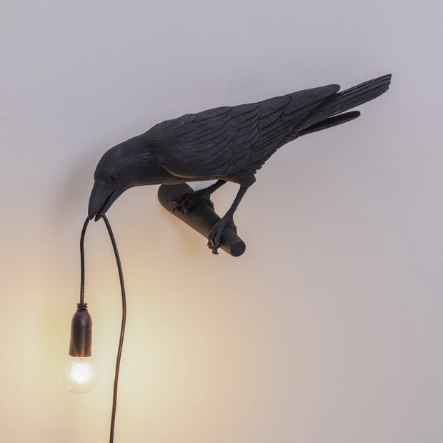 Bird Lamp - Molecule Design-Online 