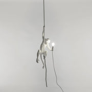 The Monkey Lamp Ceiling Version - Molecule Design-Online 