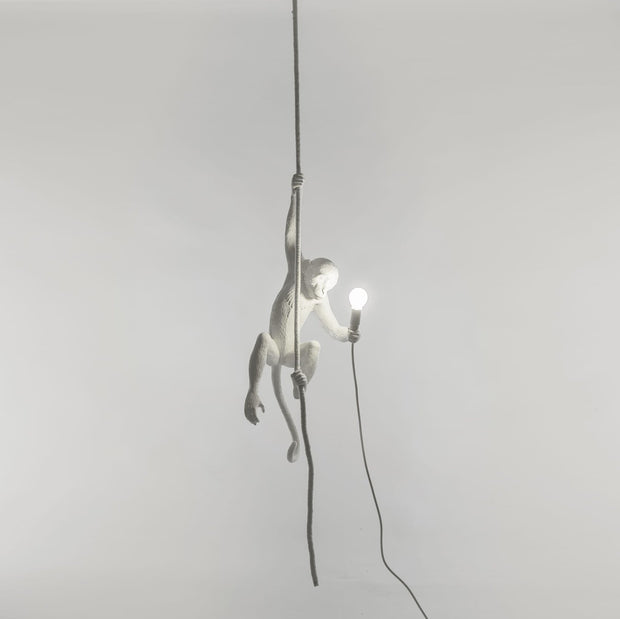 The Monkey Lamp Ceiling Version - Molecule Design-Online 