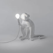 The Monkey Lamp Sitting Version - Molecule Design-Online 