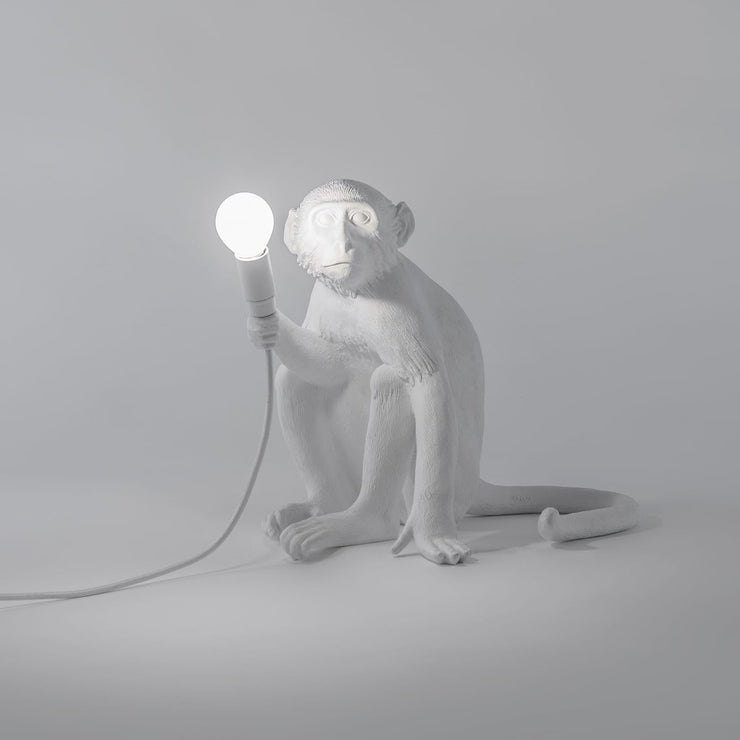 The Monkey Lamp Sitting Version - Molecule Design-Online 