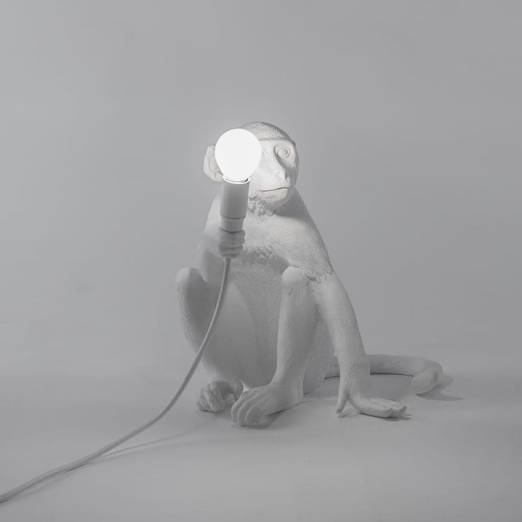 The Monkey Lamp Sitting Version - Molecule Design-Online 