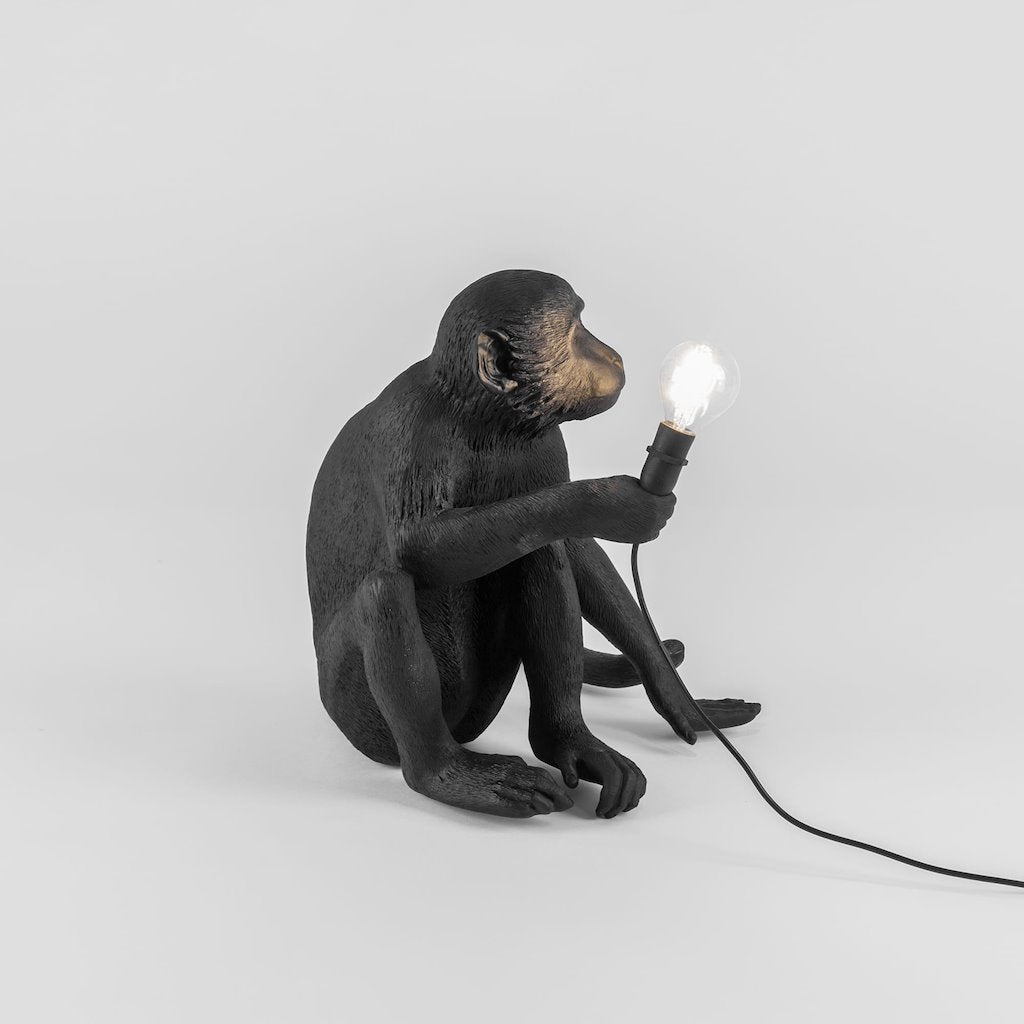 The Monkey Lamp Sitting Version Molecule Design Online