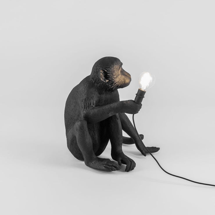 The Monkey Lamp Sitting Version - Molecule Design-Online 