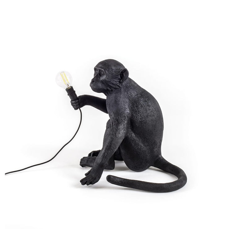 The Monkey Lamp Sitting Version - Molecule Design-Online 