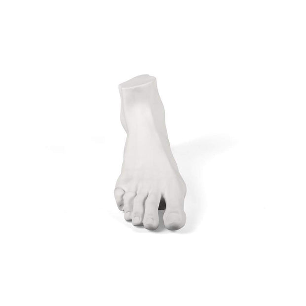 Memorabilia Mvsevm-Male Foot - Molecule Design-Online 