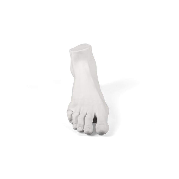 Memorabilia Mvsevm-Male Foot - Molecule Design-Online 