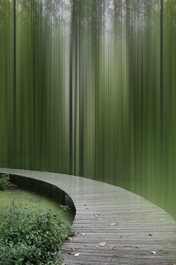 Toward Profusion - Disturbing The Spirits series - Molecule Design-Online 