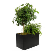 Mondo Double Planter (28 Gallon) - Molecule Design-Online 