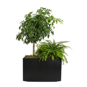 Mondo Double Planter (28 Gallon) - Molecule Design-Online 