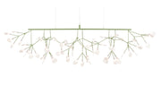 Heracleum Ill Linear - Suspended Lamp - Molecule Design-Online 