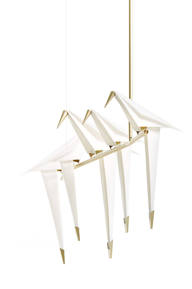 Perch Light Branch - Molecule Design-Online 