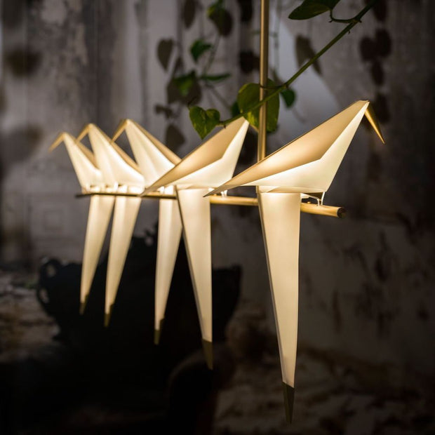 Perch Light Branch - Molecule Design-Online 