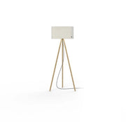 Belmont Floor Lamp - Molecule Design-Online 