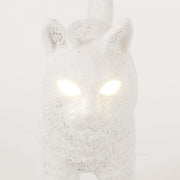 Jobby The Cat Lamp - Molecule Design-Online 