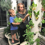 Tower Garden Family Garden - Molecule Design-Online 