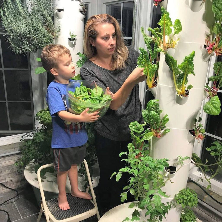 Tower Garden Growing System - Molecule Design-Online 