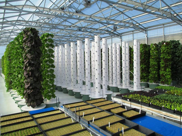 Tower Garden Community Garden (12 towers) - Molecule Design-Online 