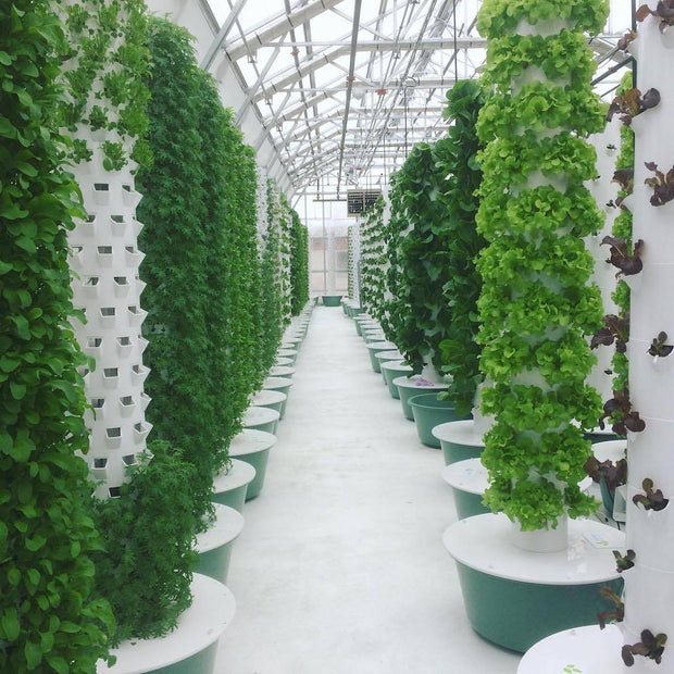 Tower Garden Community Garden (12 towers) - Molecule Design-Online 