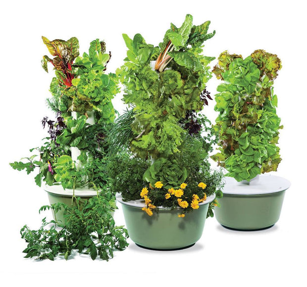 Tower Garden Family Garden - Molecule Design-Online 